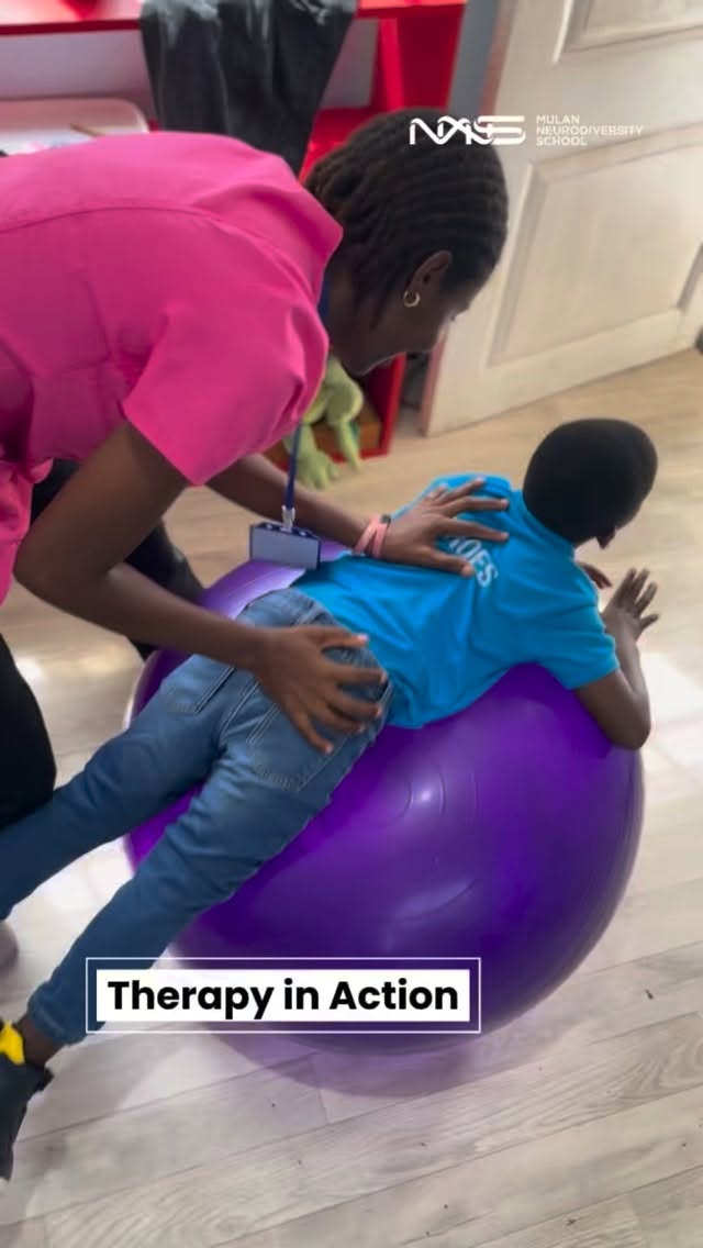 Therapy Arena at Mulan Neurodiversity School
